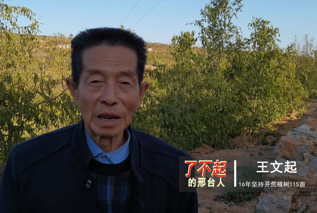 【印记邢台70年|了不起的邢台人】69岁"老愚公"王文起,16年开荒植树