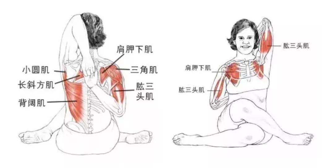 成语颜筋什么骨_成语故事手抄报