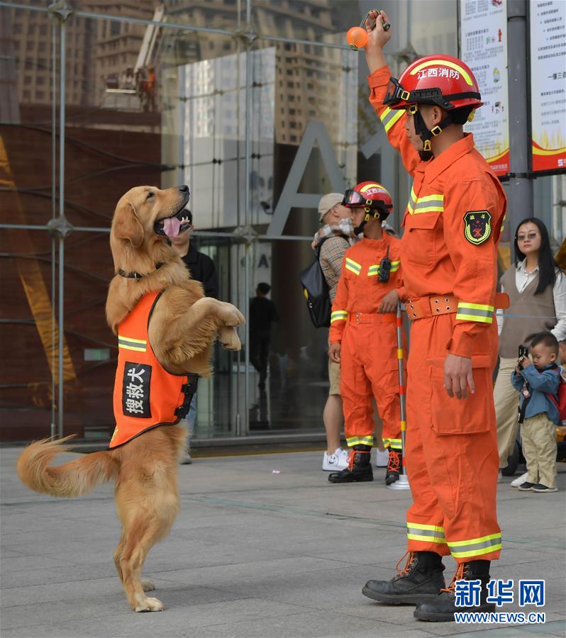 江西省“119消防宣传月”活动正式启动