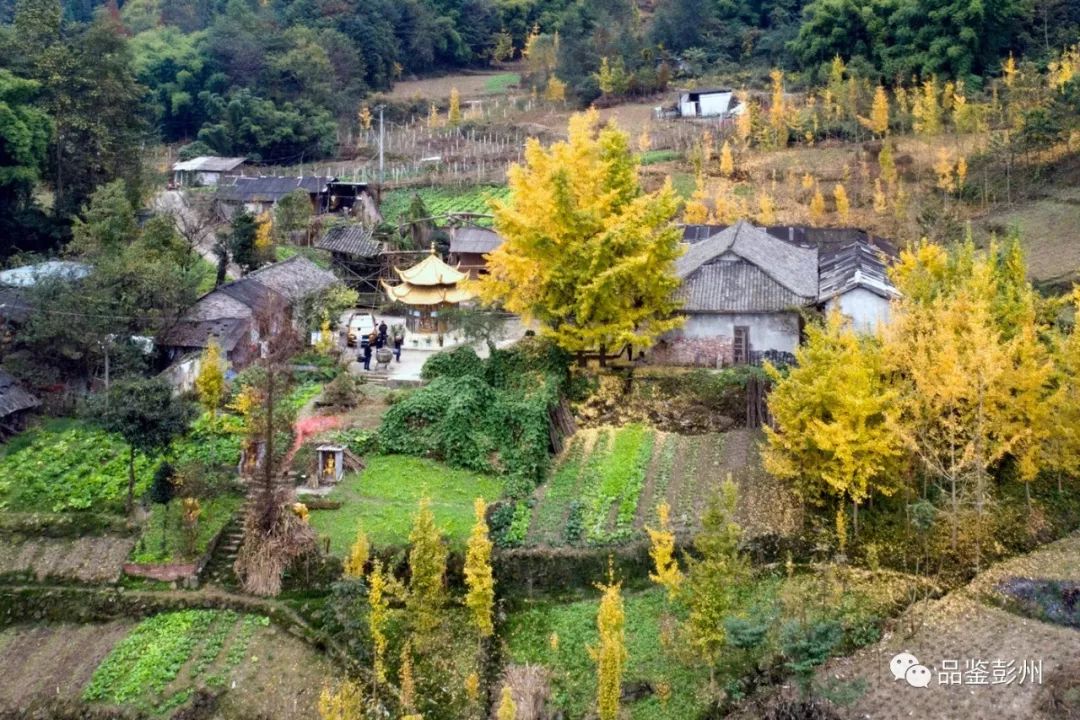 秋寺,清幽_丹景山镇