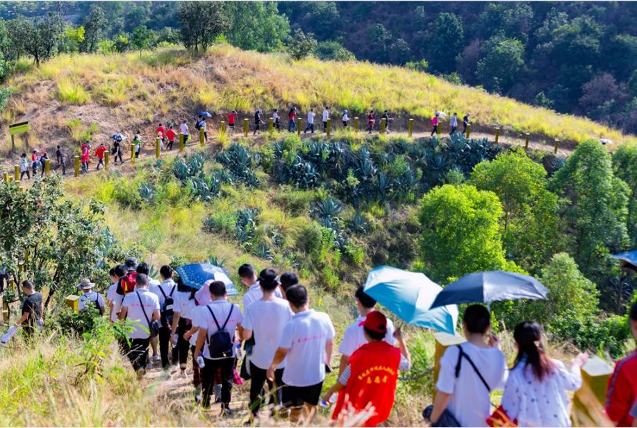 大量外来人口对攀枝花杨花_攀枝花花图片