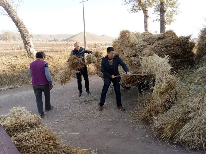 乌龟贫困人口多少人稳定脱贫_农村贫困人口全部脱贫