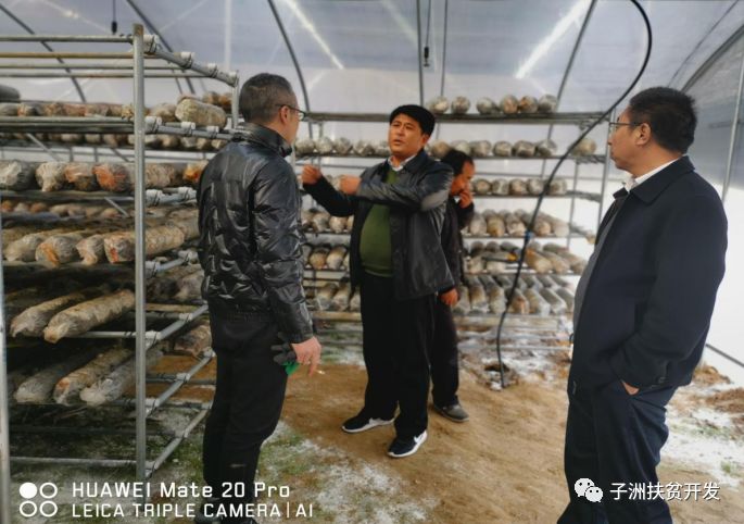 羊口镇经济总量_羊口镇(3)