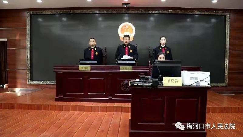 刚刚!梅河口市人民法院依法公开宣判石程阳等8名被告人恶势力犯罪案件