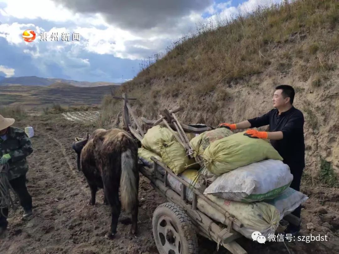 岷县多少人口_岷县郭世杰贪了多少(2)