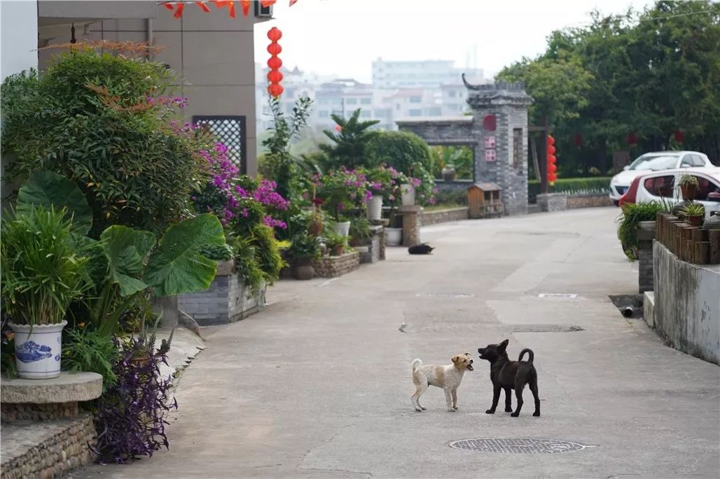 永康各村人口_封丘县留光镇各村人口
