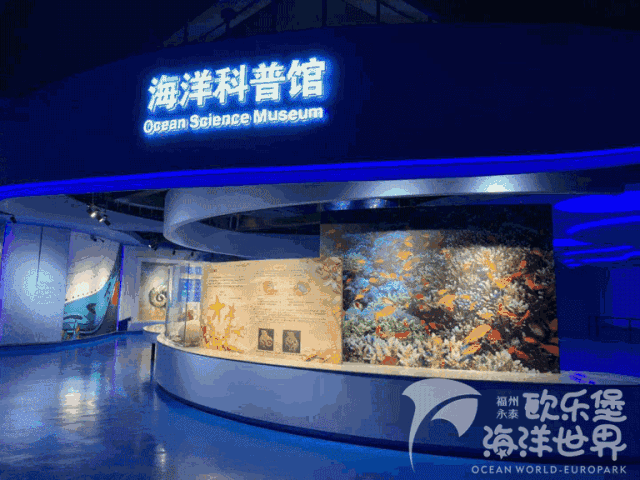秋游季丨快来和新爱乐一起畅游海洋世界!