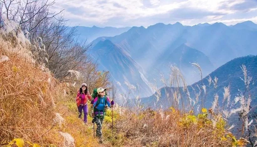 线路性质:秦岭十二印象打卡计划(点击了解详情) 涝峪凤凰山 凤凰山