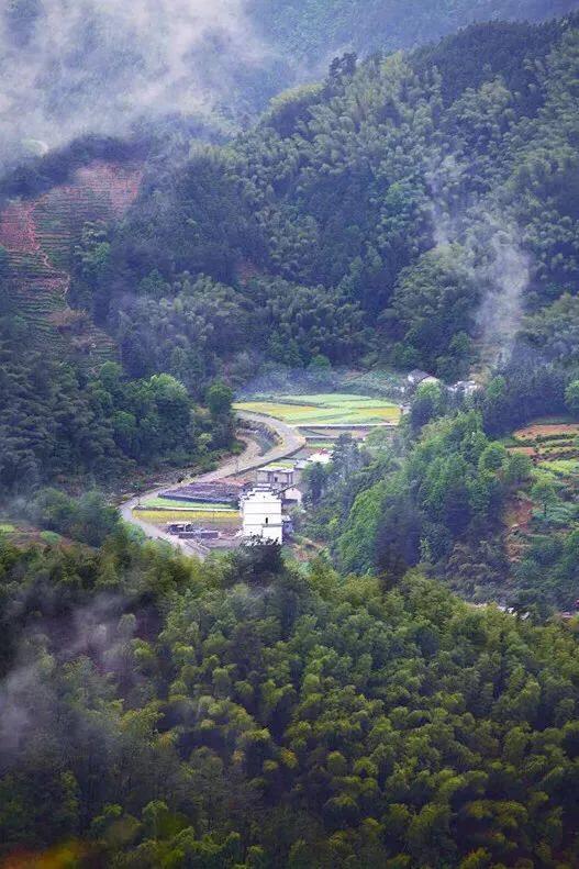 商品期货哪里开户安全适合带家人自驾的9条最美乡村公路，一年四季都