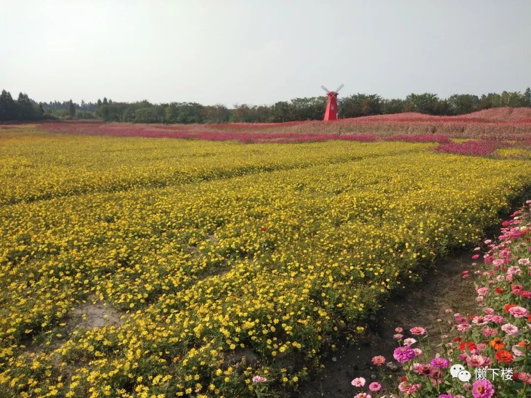 大酒店董事长)花海地址:桐乡市大麻镇海华村每个人的心里都有一个江湖