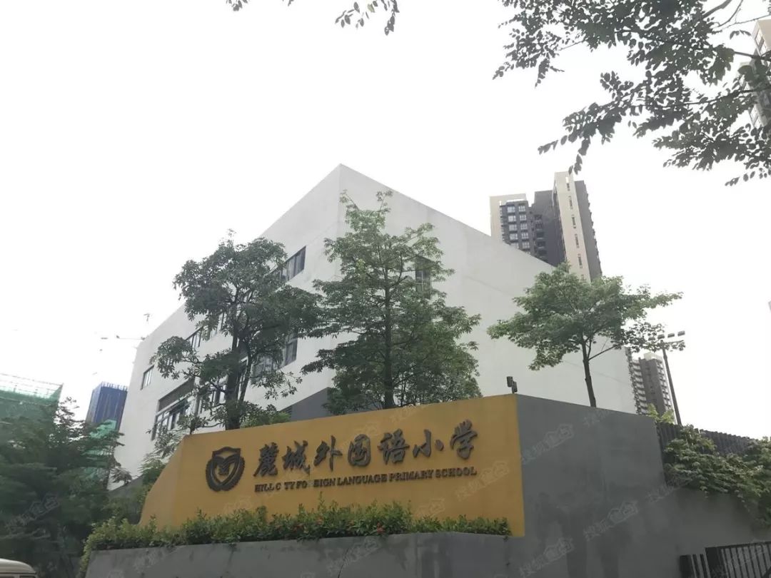 动态奥松智能走进深圳万科麓城外国语小学四点半课堂