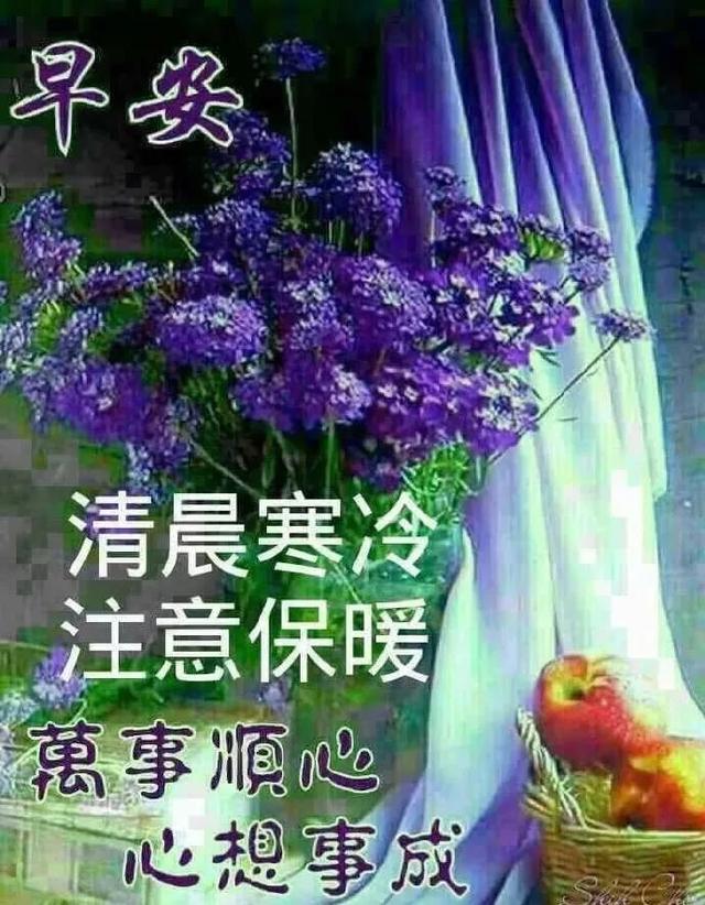 真情的祝福收到就好,美丽的人生奔向幸福,朋友,早安
