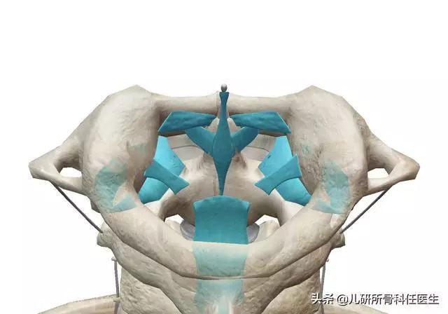 孩子突然歪脖子 儿童肌性斜颈与环枢椎半脱位的区别-图片7