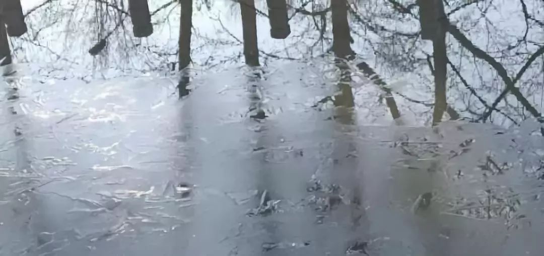 【民生关注】冷空气来袭!5级大风 雨夹雪马上就来