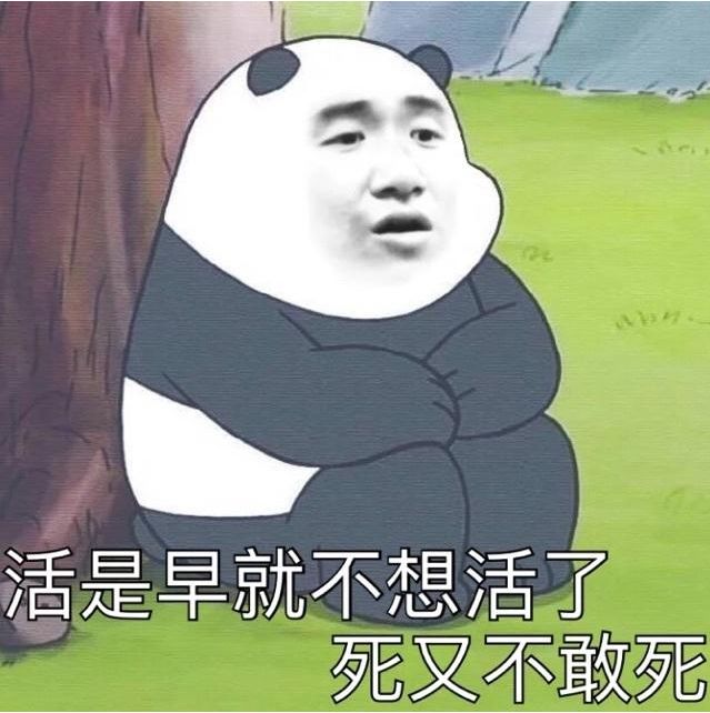 a35cb42a3d004f45aab891ce183e93d5.jpeg