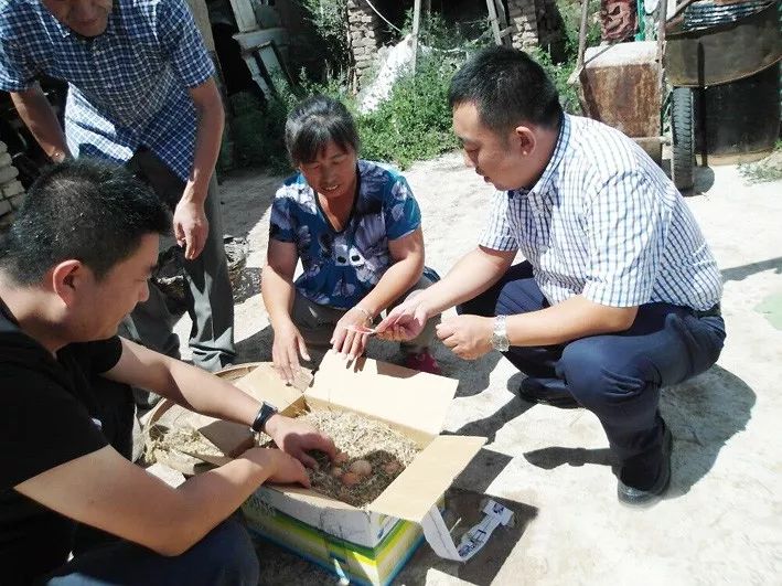 乌龟贫困人口多少人稳定脱贫_农村贫困人口全部脱贫