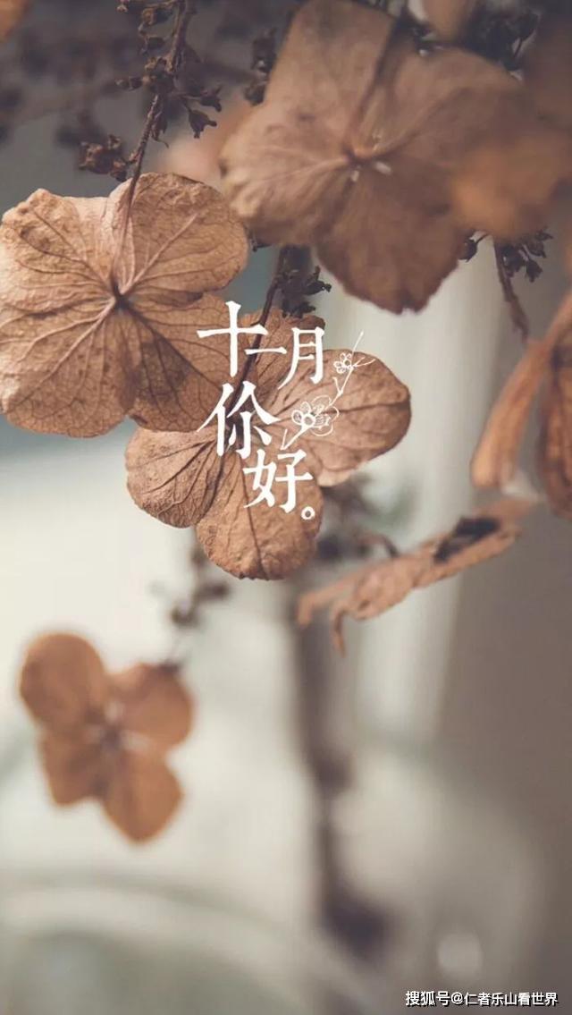 11月!愿你只生欢喜不生愁