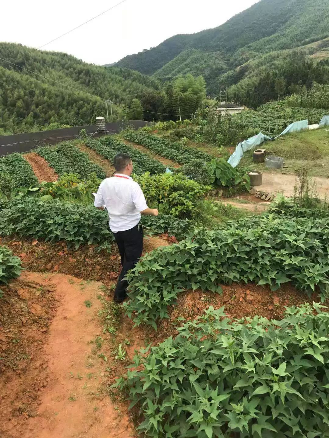 永春有多少人口_永春 坑仔口 的传说,你知道吗(3)