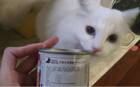 c8b29b86578a418b89c0ea5158118eba.png