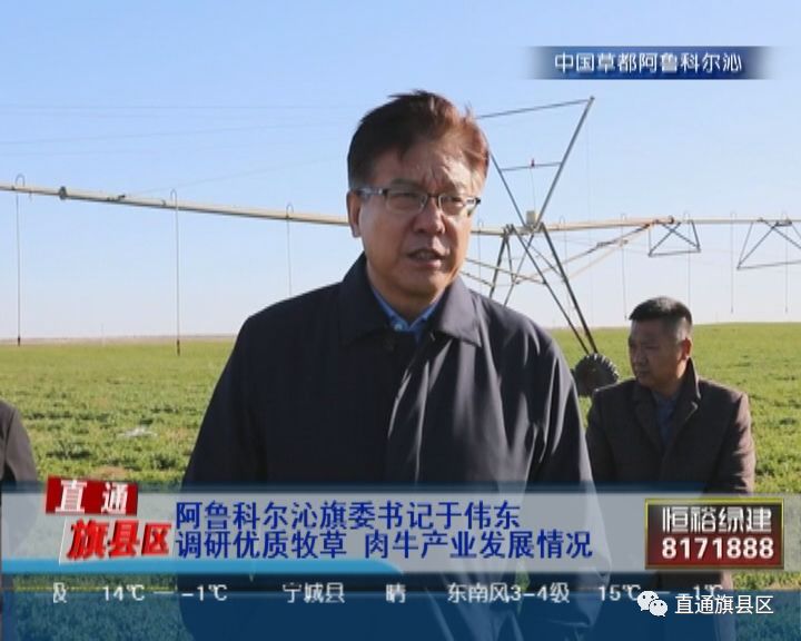 阿鲁科尔沁旗委书记于伟东调研优质牧草 肉牛产业发展