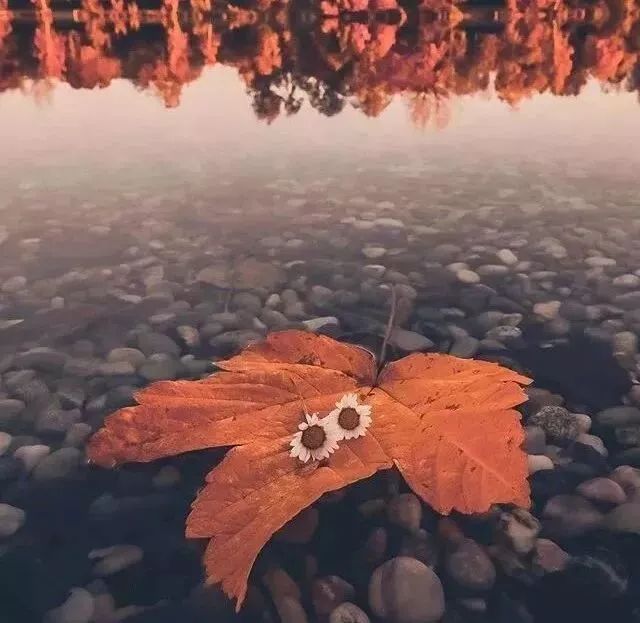 周一,早安!人生过半,回头看看(句句入心)