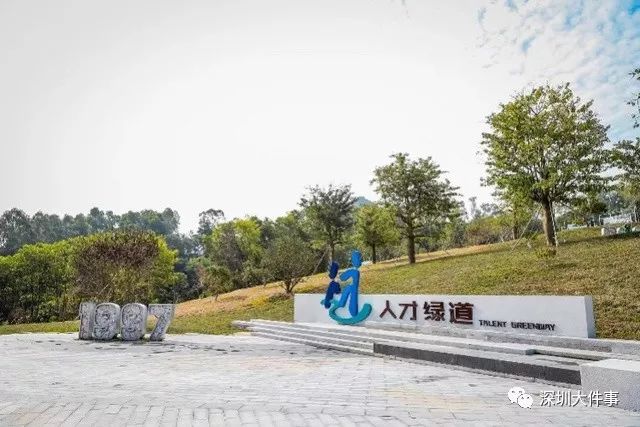 深圳公园排名_深圳湾公园(3)