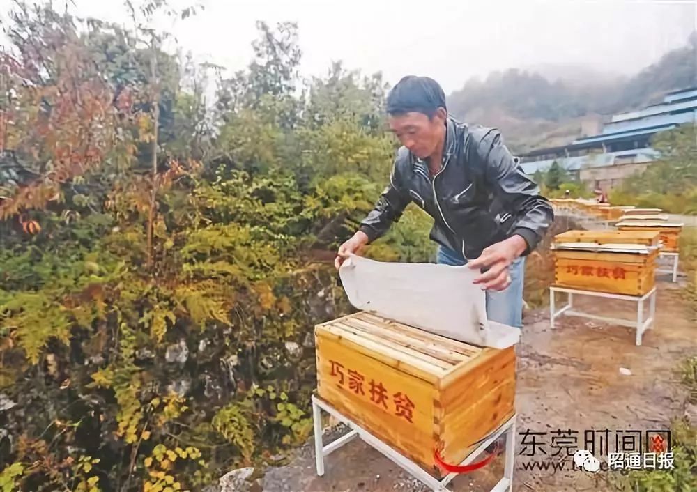 石排人口变化_家乡的变化手抄报(3)