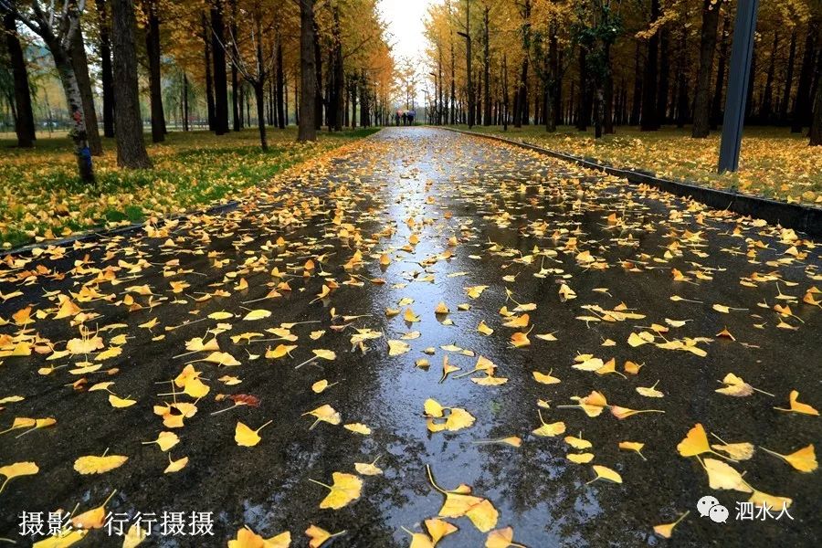 啥时候立冬最好 fe0cefa5aa834ddda5fe2215fabe6e0c.jpeg