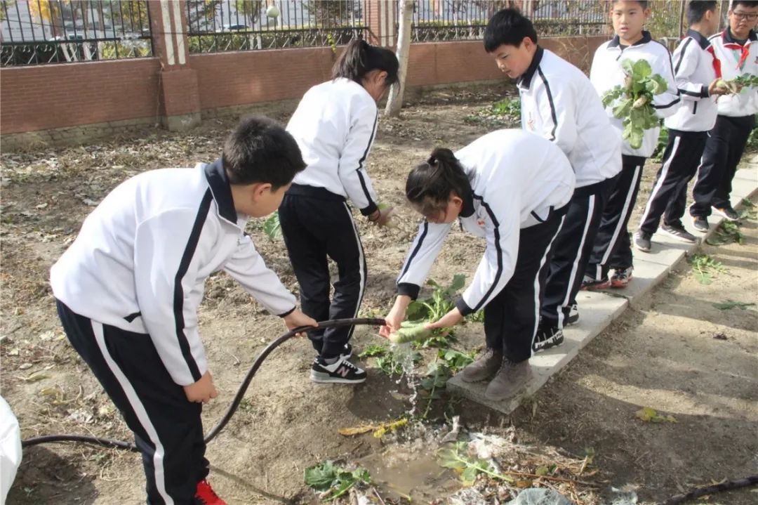 光正小学不忘初心教育为本盘锦光正实验学校首届采摘节