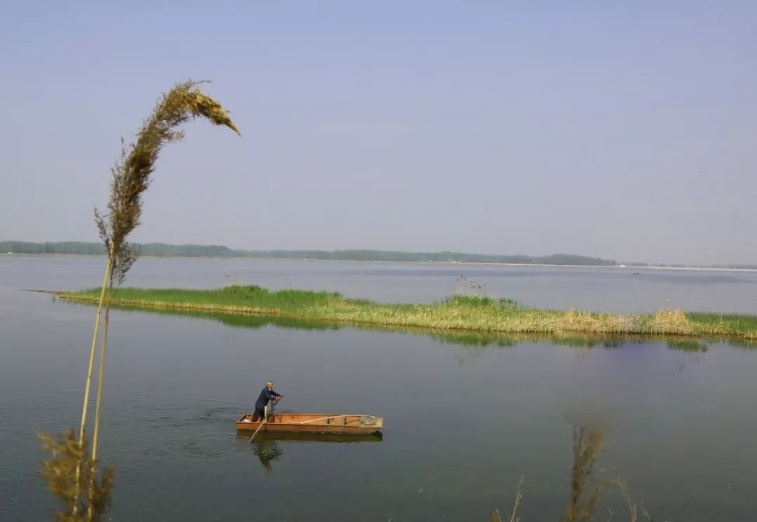 黄河故道