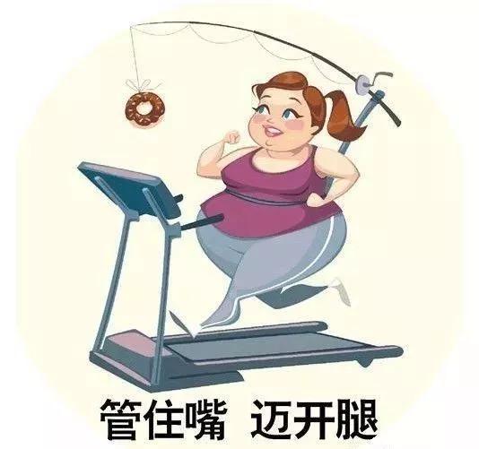 081a69ae4e7c47efb049f8c9471ec0ca.JPG