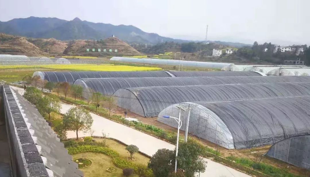 竹溪各村人口_禄丰竹溪村