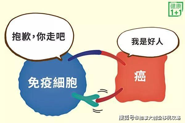 如何增强自身免疫系统 2385640da5d6434381c9d111d84959c7.jpeg