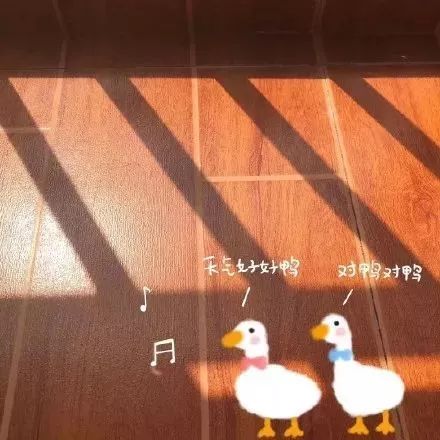 背景图丨超治愈的朋友圈封面
