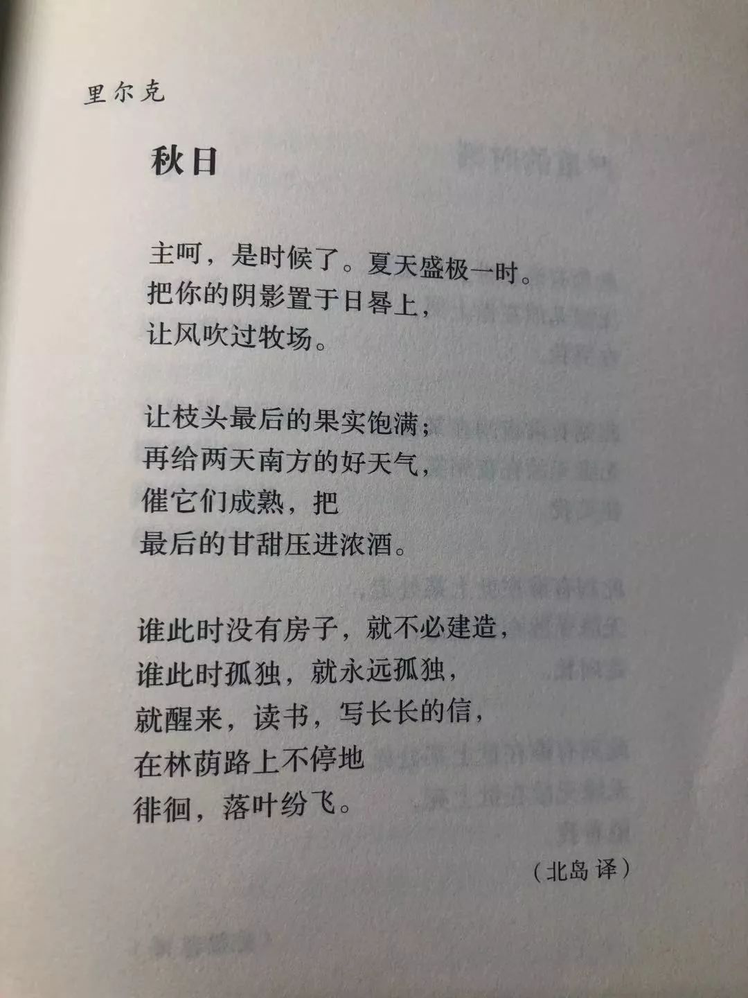 自由的文案10句 306fce293e9c495d8abaef17e2cf04f8.jpeg