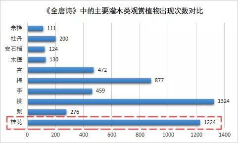 牡丹，为何战胜了桂花？