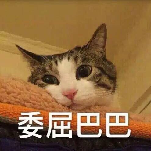 40b136e3b28c4406aa60ed9e1769053c.jpeg