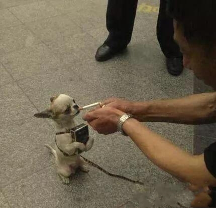 酒什么失成语_成语故事简笔画(2)