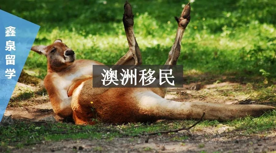 澳洲留学 | PR、绿卡、永居、入籍到底有什么