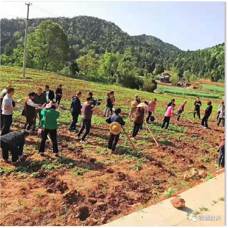 射洪农村人口_射洪城西中学图片(3)