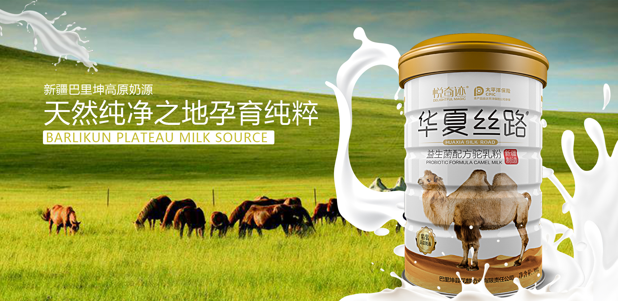 骆驼奶粉vs牛奶粉哪个更好一些？