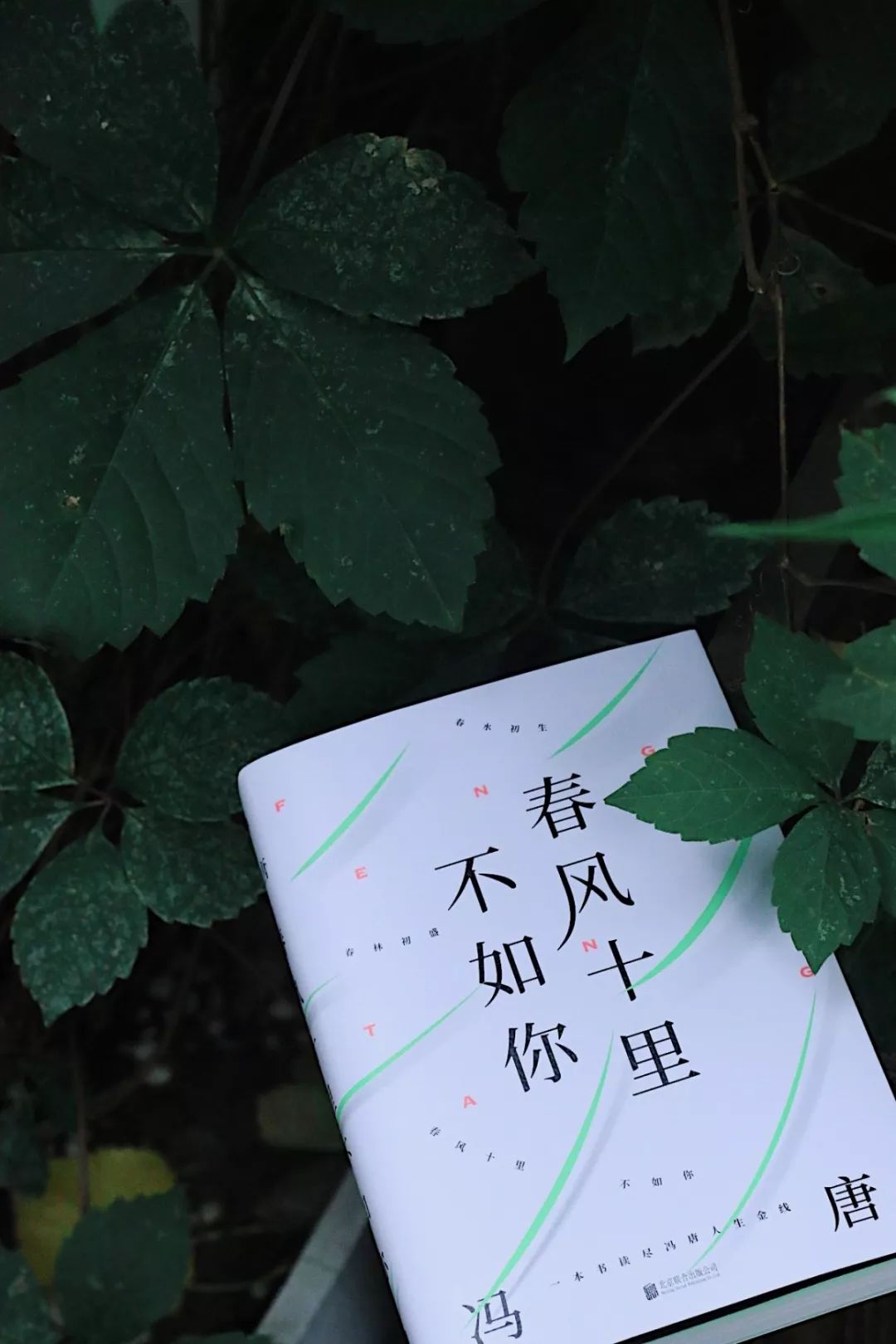 春风十里不如你一本书读懂冯唐大咖见面会福利