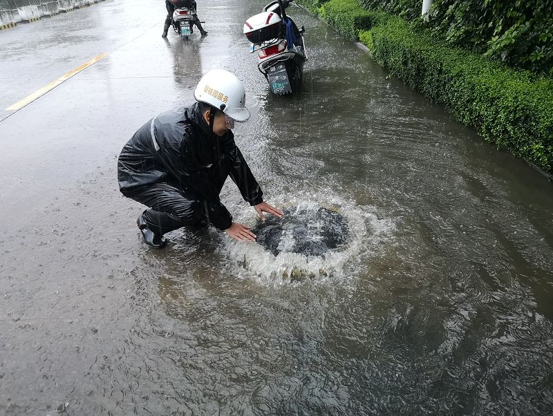 阳东的人口_阳东碧桂园