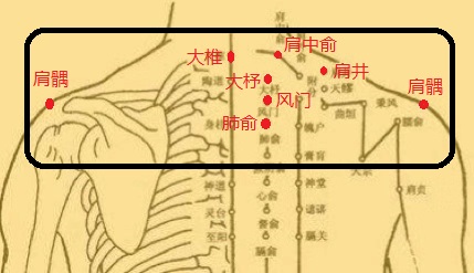 68f74604661a4df485c4b9add6117518.jpeg