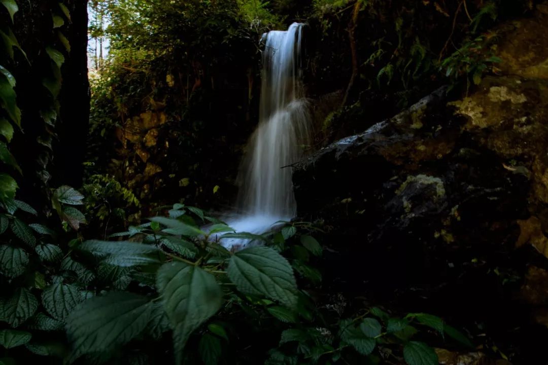 立冬来了,立冬的由来和习俗你知道吗?搜狐大视野搜狐新闻