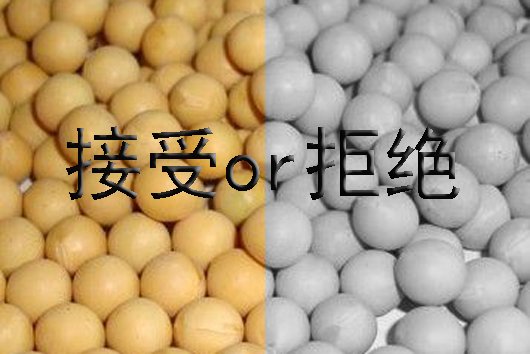 中国为什么进口那么多大豆做什么 8292ae67b6994ca99d3497883c63ca38.jpeg