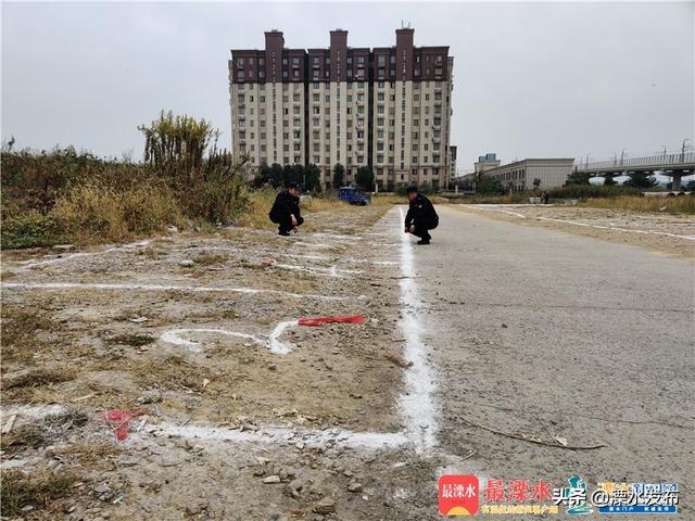 浦江人口流动_浦江郊野公园(3)