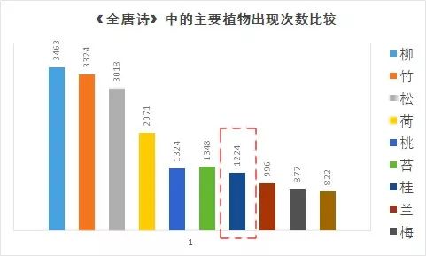 牡丹，为何战胜了桂花？