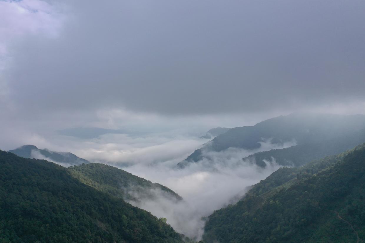 云南临沧勐库有一座著名的邦马大雪山,海拔高约3200米,山顶终年积雪