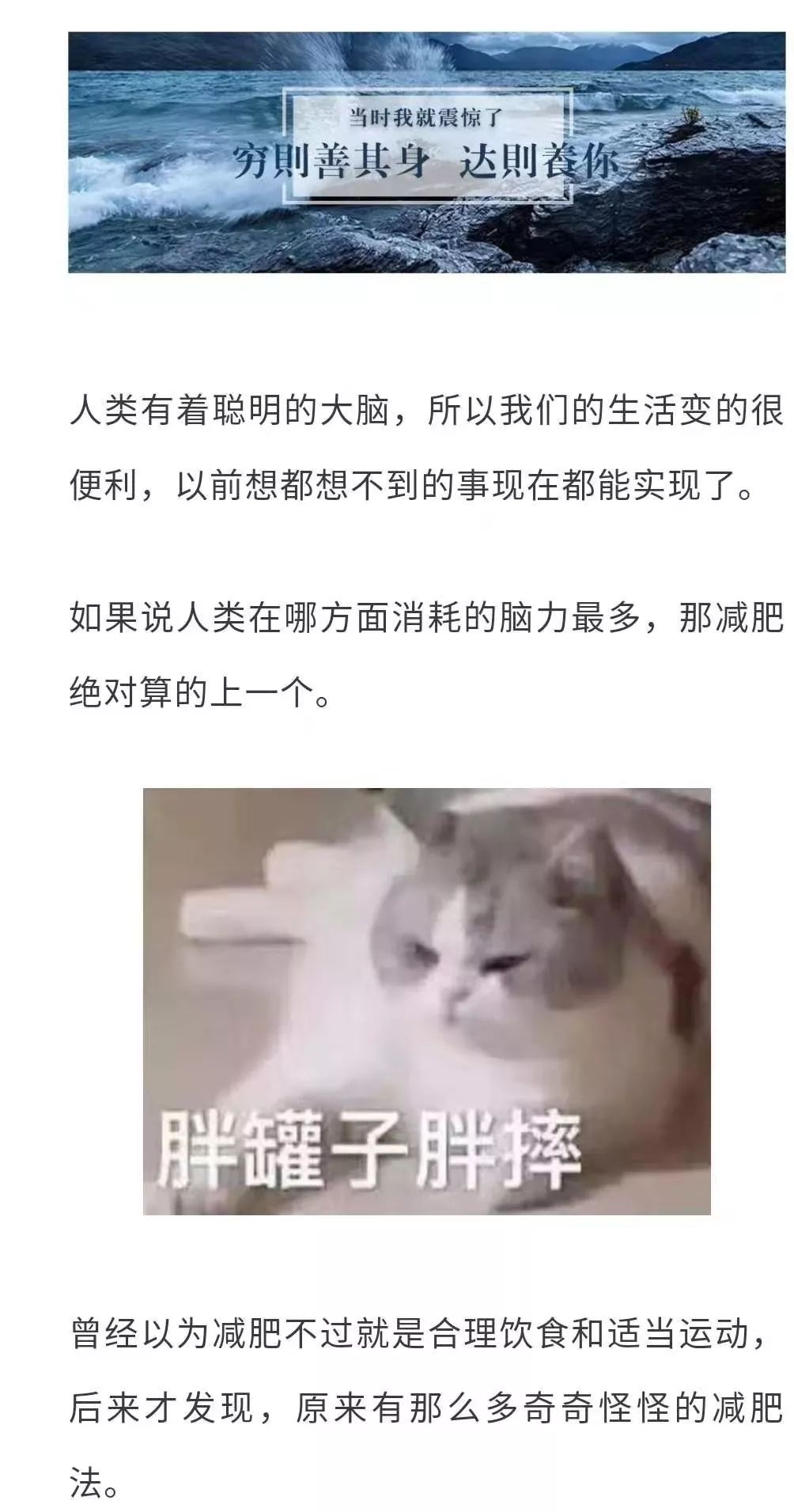 有没有减肥药啊 9d4d01e424144cadadc7bb7869b043f8.jpeg